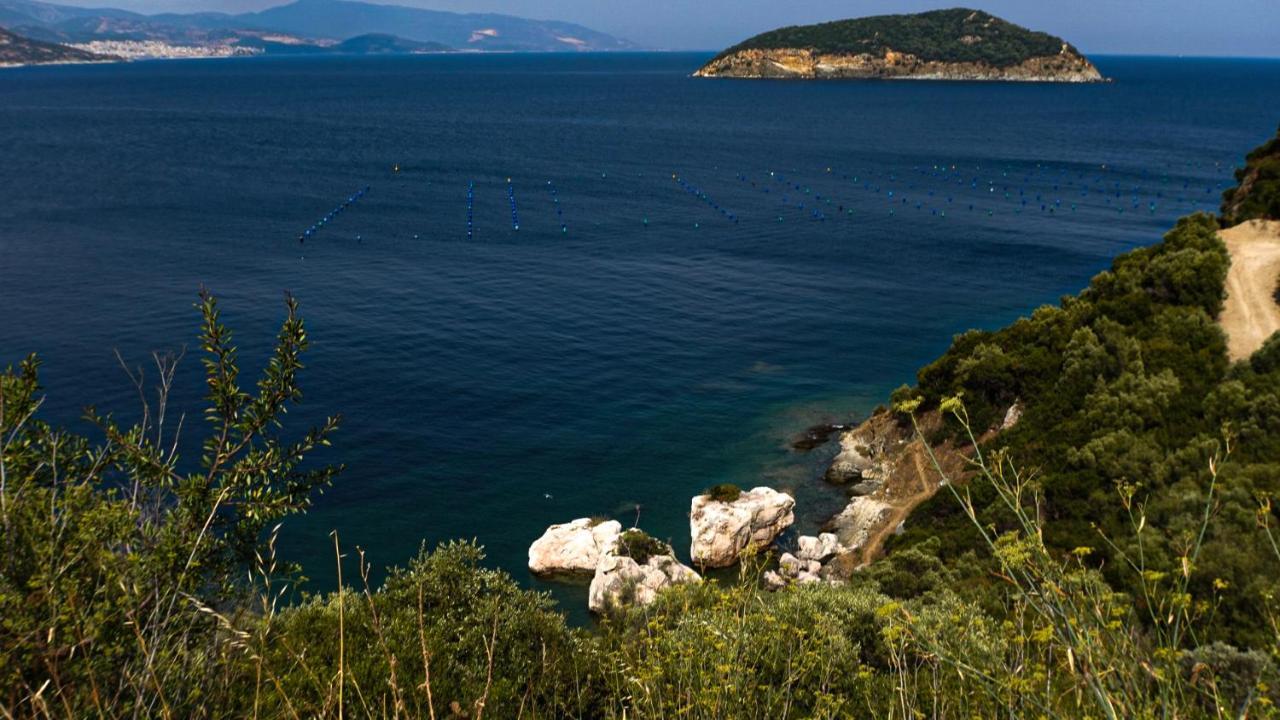 Mavridis House Hébergement de vacances *